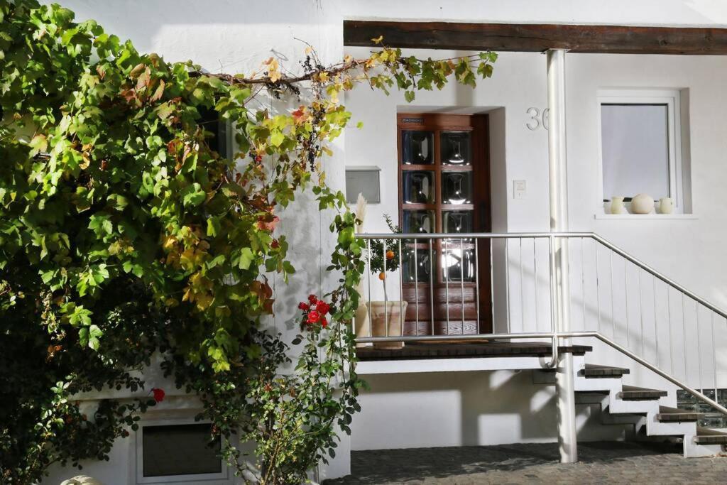 Wunderschones Haus Im Herzen D. Nationalpark Eifel Schleiden Buitenkant foto